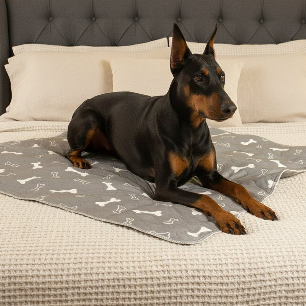 3 Pack Novapaw Pup Pad
